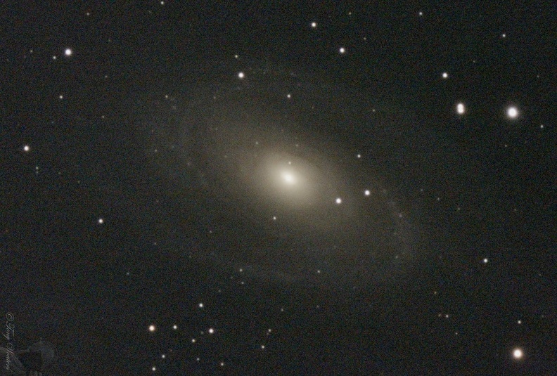 M81 20211124