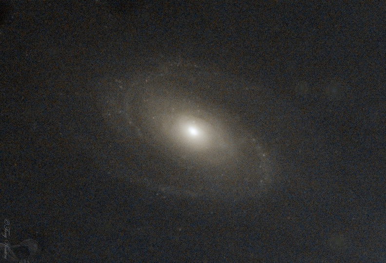 M81_NS.jpg
