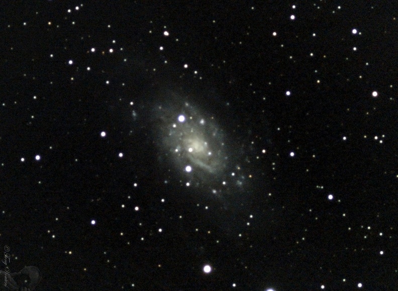 NGC2403_NoFlat.jpg