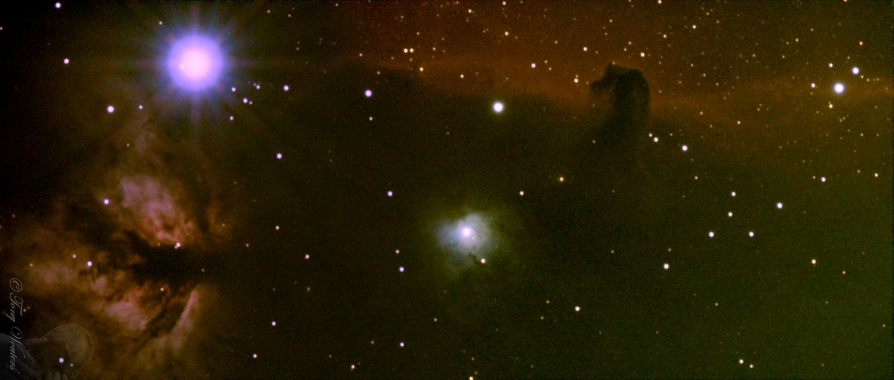 IC434-NGC2024