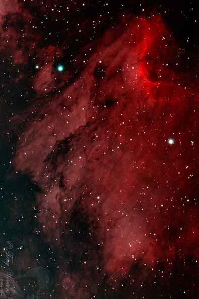 Pelican_Nebula_Crop.jpg