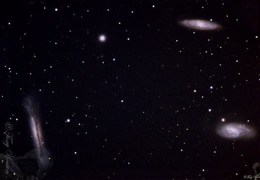leo triplet all combined