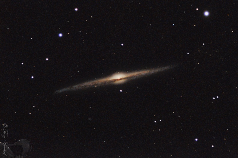 NGC4565_20220323.jpg