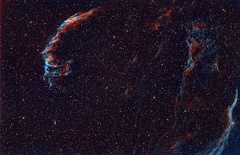 Veil Nebula Stars