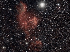 IC63 Ghost C1