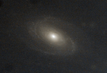 M81 NS